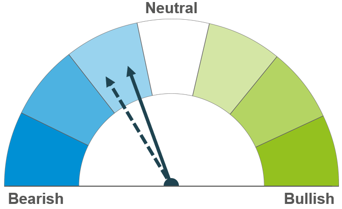 Dial indicating a mildly bearish outlook for markets both short and longer term